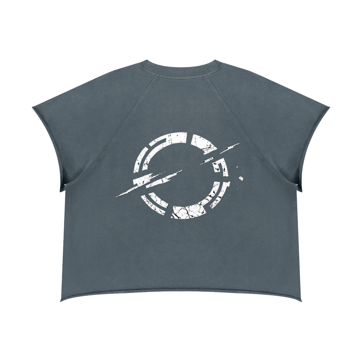 Gray blue boxy crewneck T-shirt with distressed circular glitch graphic on front