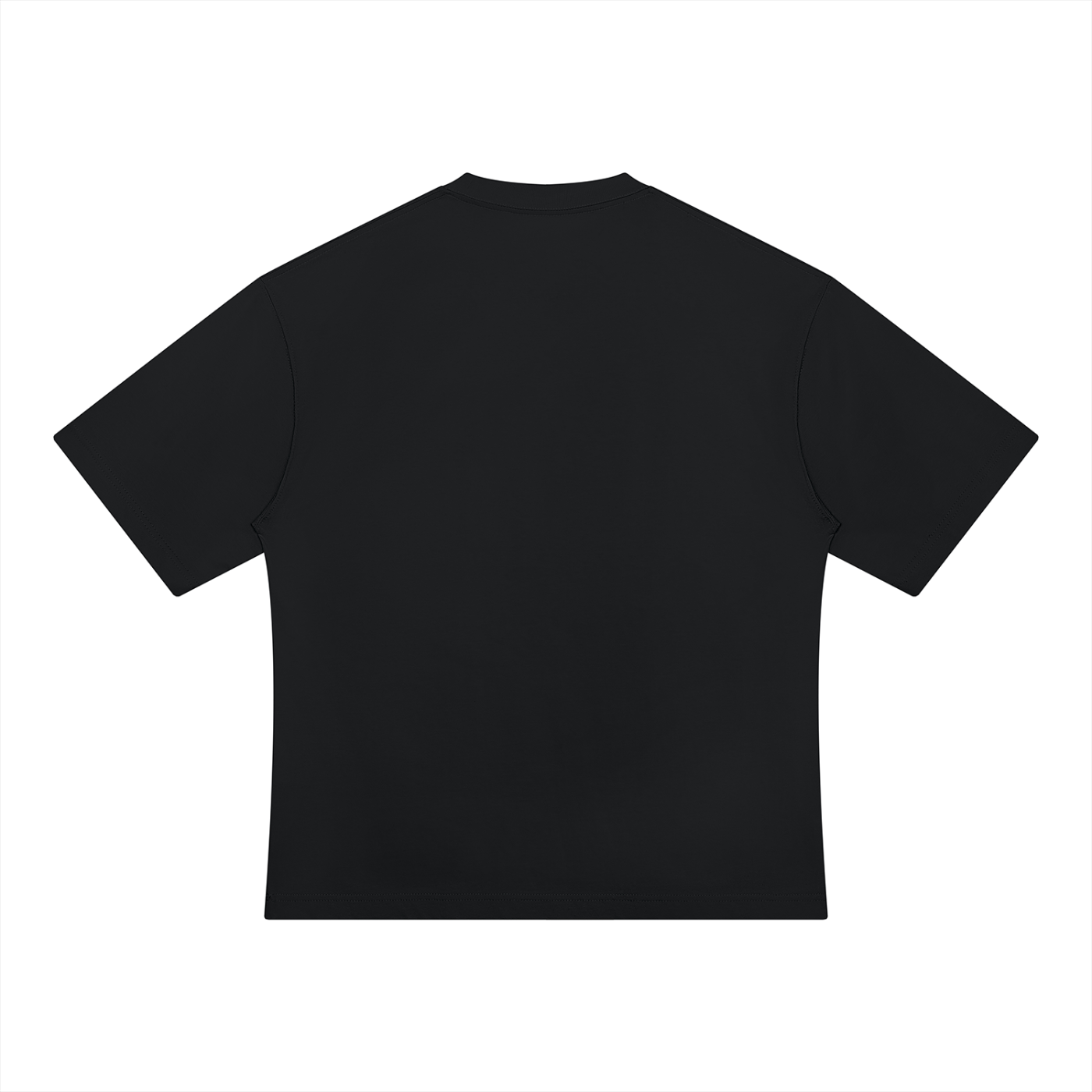 Unisex heavyweight oversized T-shirt, black, back view