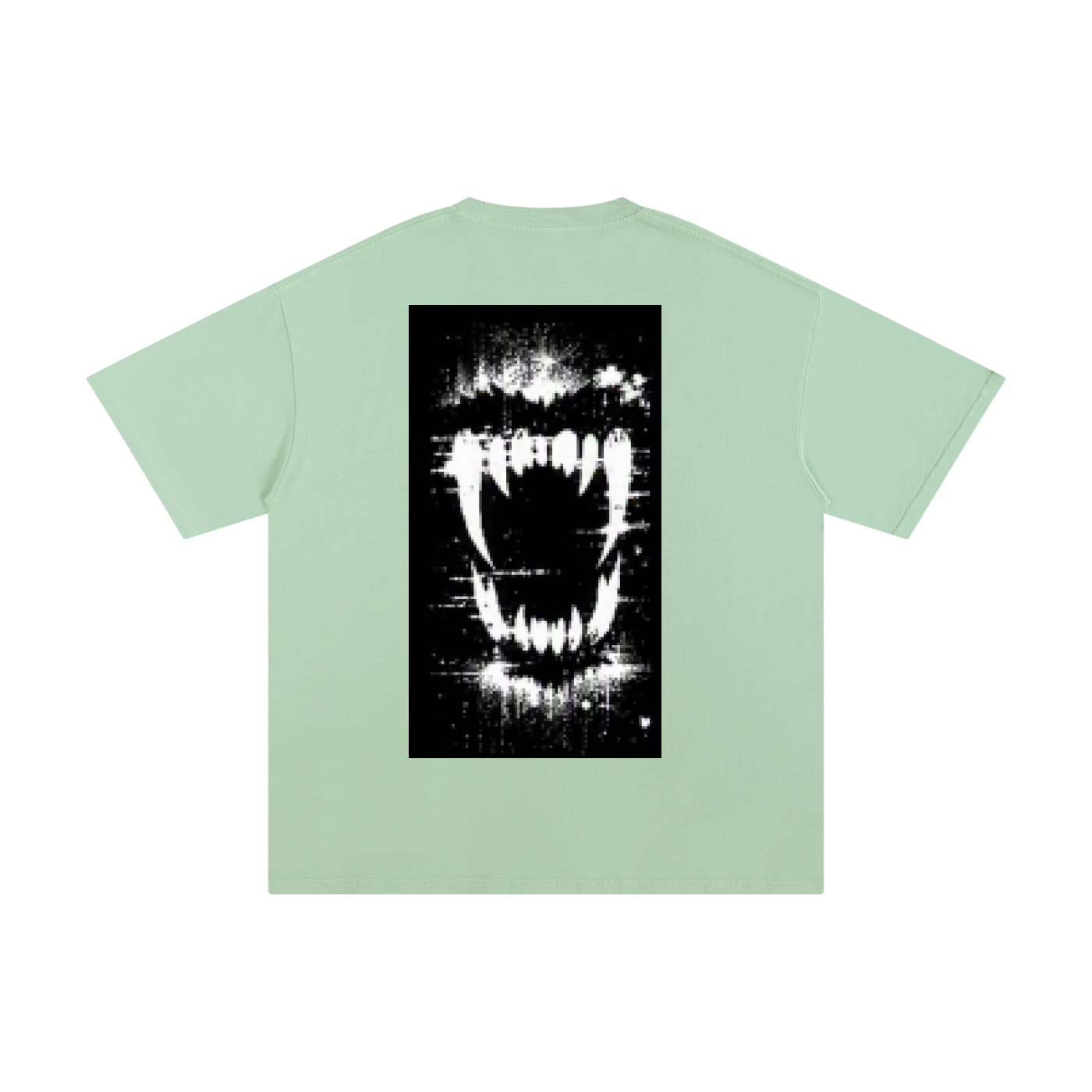 Mint green pure cotton T-shirt with black-and-white front graphic, crew neck
